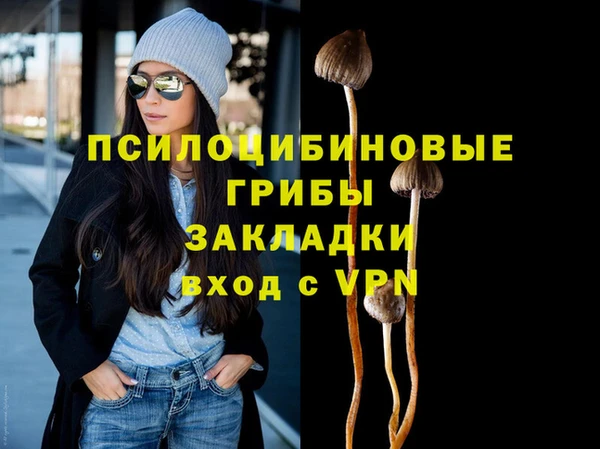 соль курить ск Каменногорск