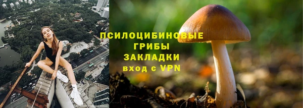 мдма Каменка