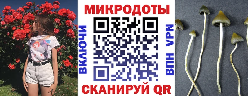 Купить где  Вышний Волочёк  Галлюциногенные грибы мухоморы 